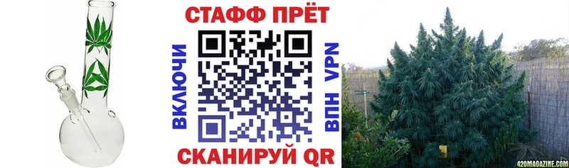 Виды наркотиков купить Оса Канабис  Кокаин  СОЛЬ  МЕФ 