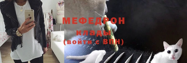 сатива Новокубанск