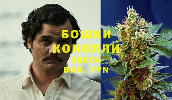 винт Алексин