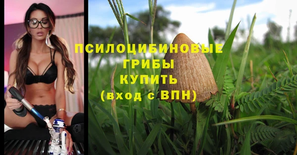 гидра Абдулино