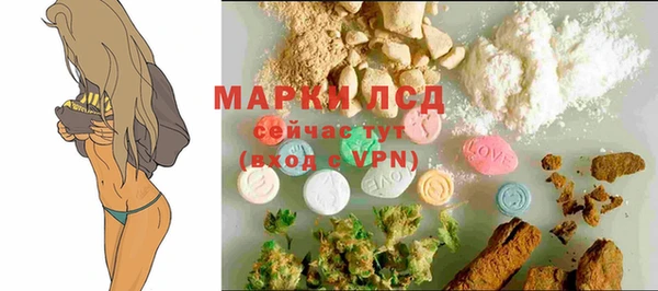 индика Абинск