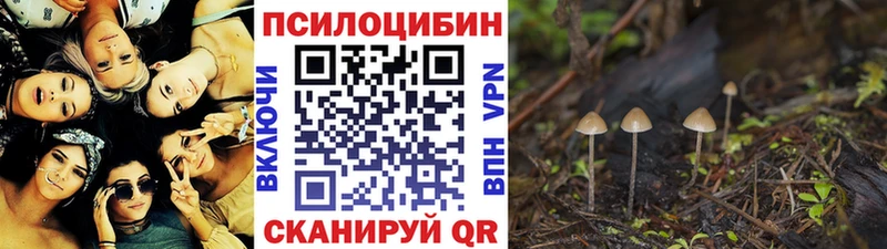 Галлюциногенные грибы мухоморы  Оса 